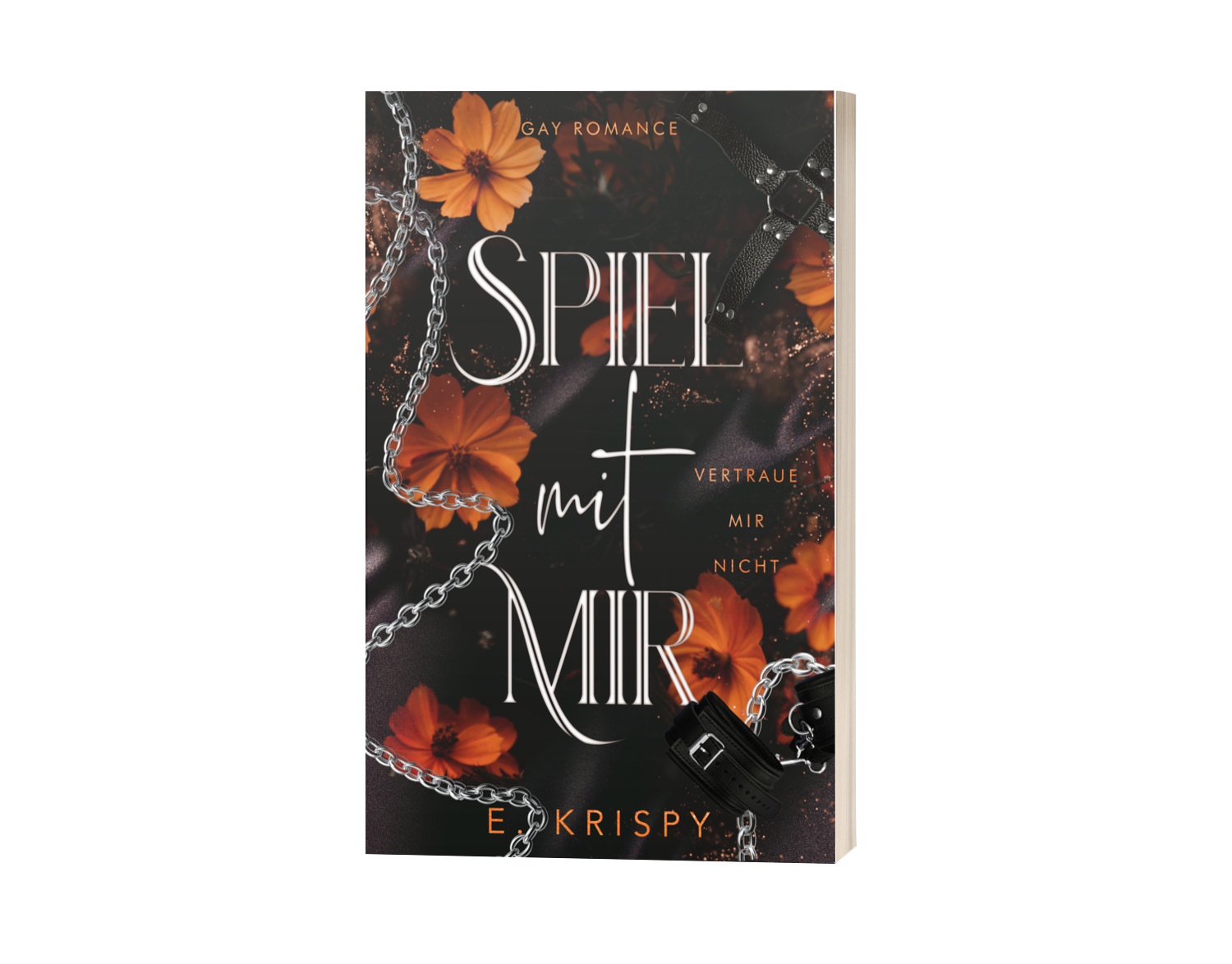 MockUp zu Spiel mit mir: Vertraue mir nicht (Gay Romance) von E. Krispy