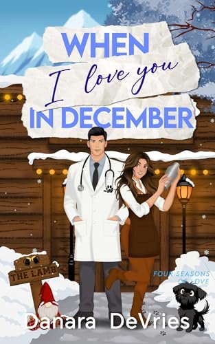 Buchcover When I love you in December – Danara DeVries
